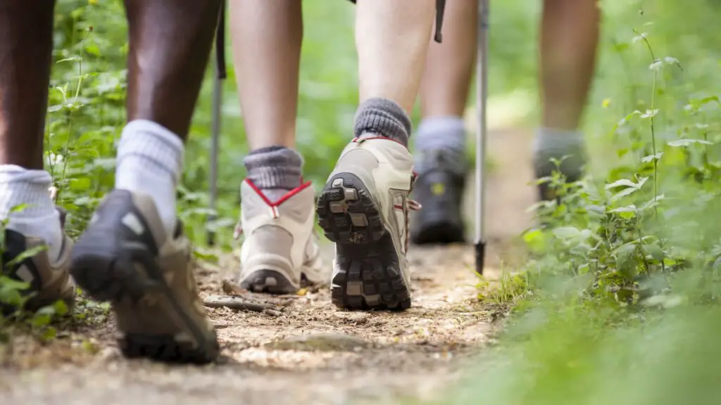 Scarpe da trekking